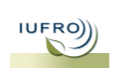 IUFRO-Logo
