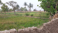 Agricultural production during dry season in opposite of a dam