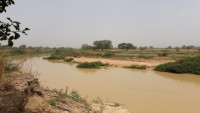 Agriculture close to the river banks
